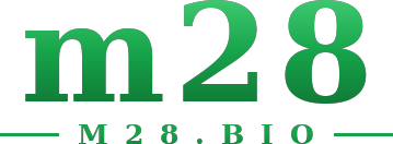 m28 logo